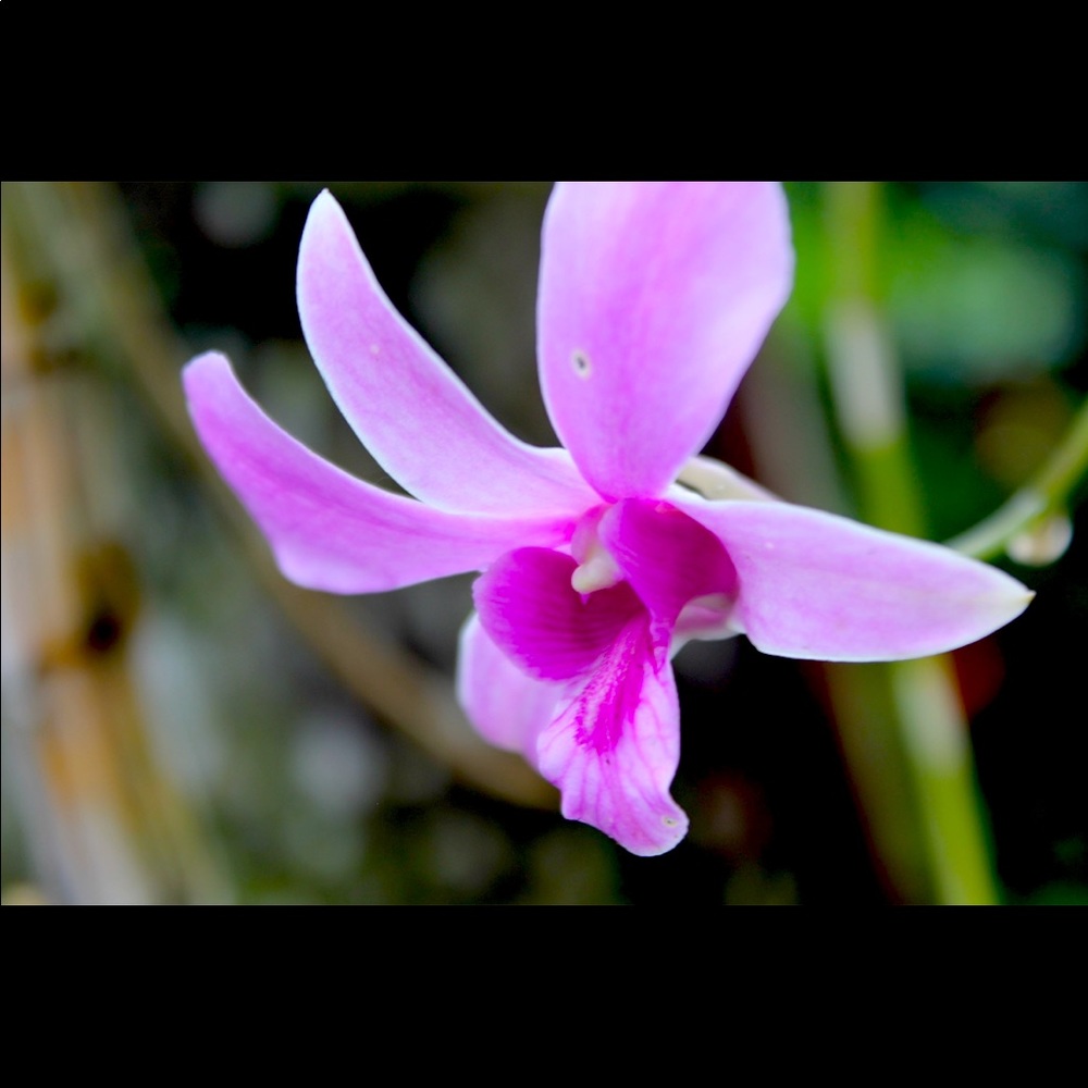 Meet your Posher, Gabriela